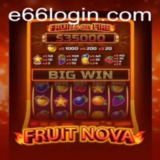 FruitNova: The E66 Edition Game Experience